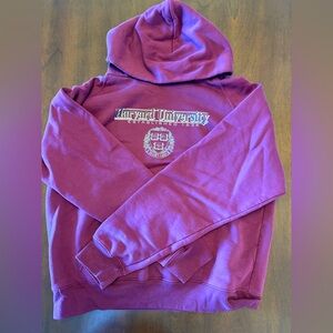Jansport Burgundy Harvard Hoodie